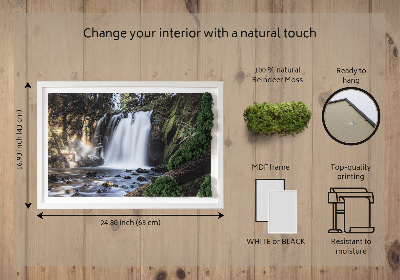 Tableau mousse végétale Cascade entourée d'arbres