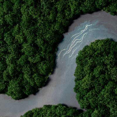 Tableau mousse Rivière dans la forêt