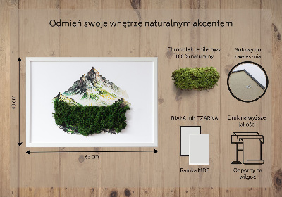 Tableau végétal mousse Montagnes au-dessus de la forêt