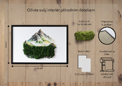 Tableau végétal mousse Montagnes au-dessus de la forêt