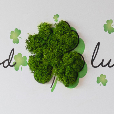 Tableau mousse L'inscription good luck clover