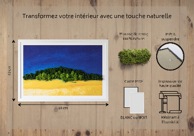 Tableau mousse stabilisée Paysage jaune bleu