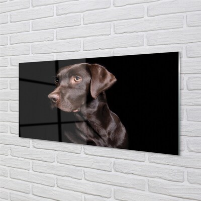 Tableaux sur verre Chien brun