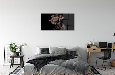 Tableaux sur verre Chien brun