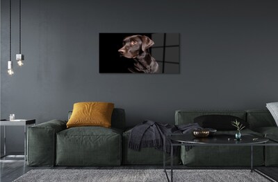 Tableaux sur verre Chien brun