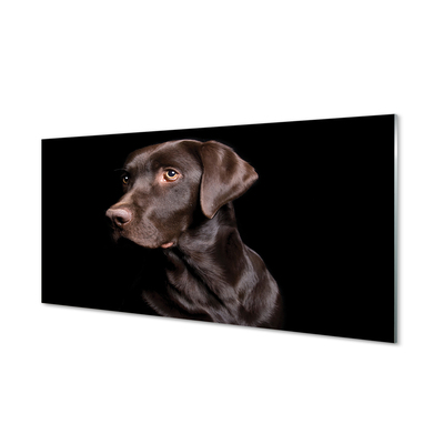 Tableaux sur verre Chien brun