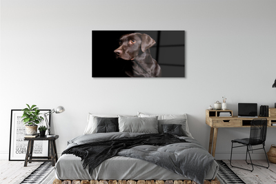 Tableaux sur verre Chien brun