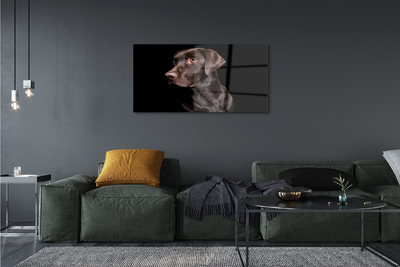 Tableaux sur verre Chien brun