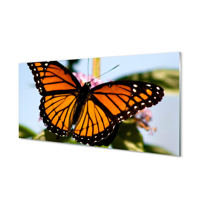 Tableaux sur verre Papillon coloré