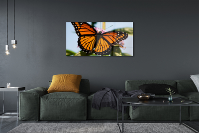 Tableaux sur verre Papillon coloré