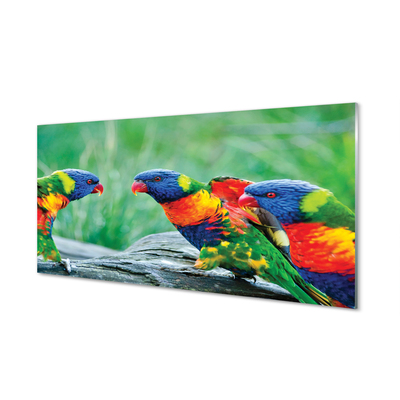 Tableaux sur verre Arbre perroquet coloré