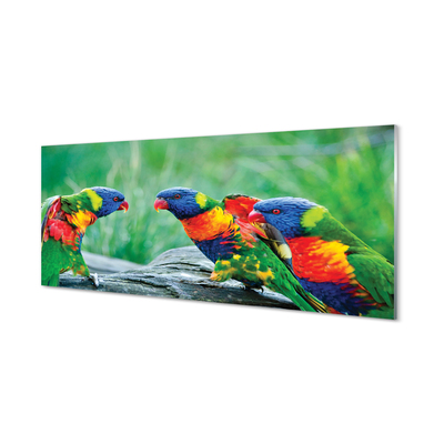 Tableaux sur verre Arbre perroquet coloré