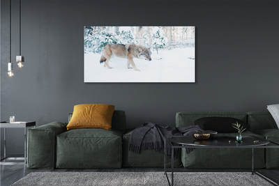 Tableaux sur verre Loup forêt d'hiver