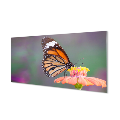 Tableaux sur verre Fleur papillon coloré