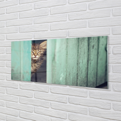 Tableaux sur verre Cat zaglądający
