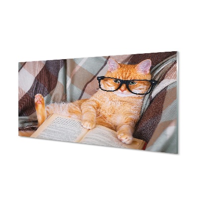 Tableaux sur verre Le chat de lecteur