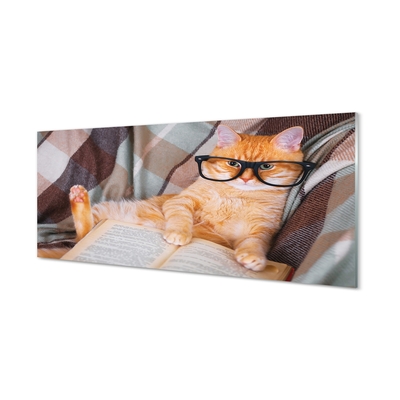 Tableaux sur verre Le chat de lecteur
