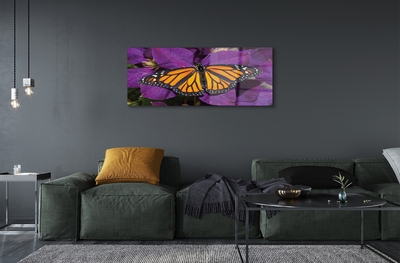 Tableaux sur verre Fleurs papillon coloré