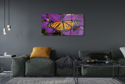 Tableaux sur verre Fleurs papillon coloré
