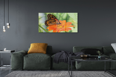 Tableaux sur verre Fleur papillon coloré