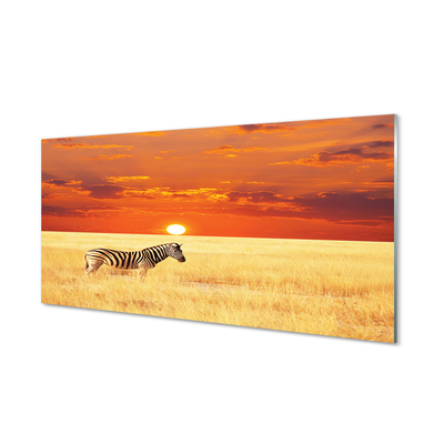Tableaux sur verre Zebra coucher du soleil sur le terrain