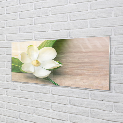 Tableaux sur verre Magnolia blanc