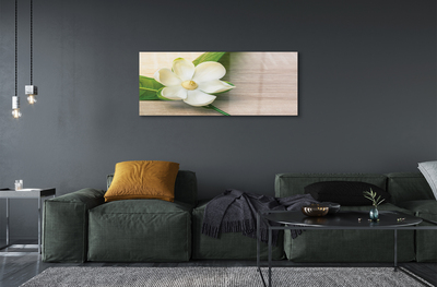 Tableaux sur verre Magnolia blanc