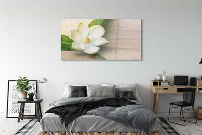 Tableaux sur verre Magnolia blanc