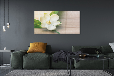 Tableaux sur verre Magnolia blanc