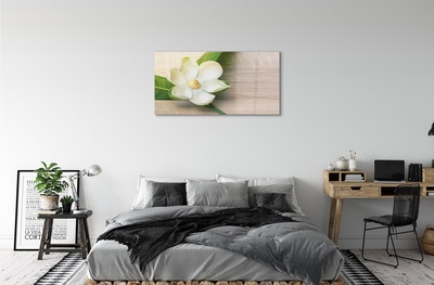 Tableaux sur verre Magnolia blanc