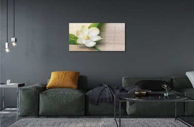 Tableaux sur verre Magnolia blanc