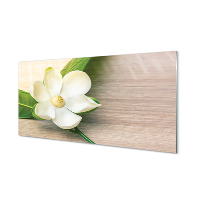 Tableaux sur verre Magnolia blanc