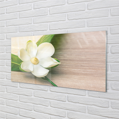 Tableaux sur verre Magnolia blanc