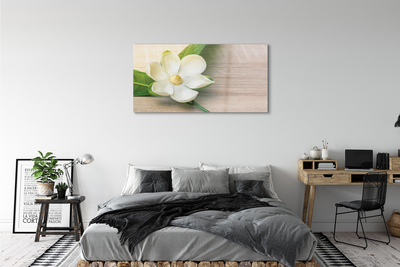 Tableaux sur verre Magnolia blanc