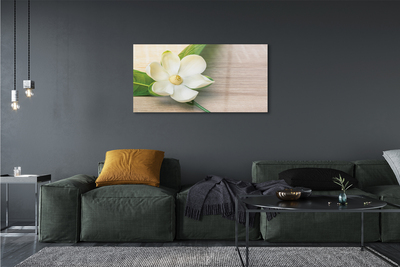 Tableaux sur verre Magnolia blanc