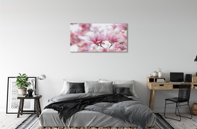 Tableaux sur verre Arbre magnolias