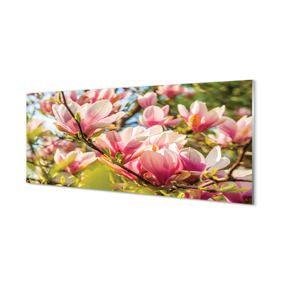 Tableaux sur verre Magnolias rose
