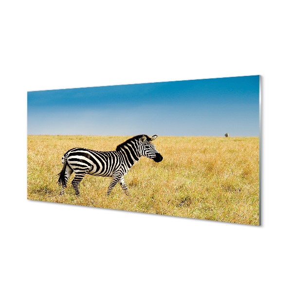 Tableaux sur verre Boîte zebra