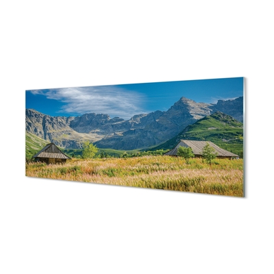 Tableaux sur verre Cottages top box