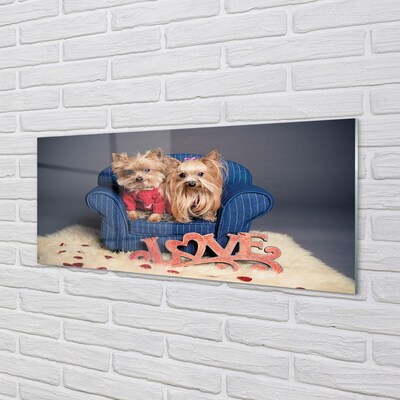 Tableaux sur verre Yorkie