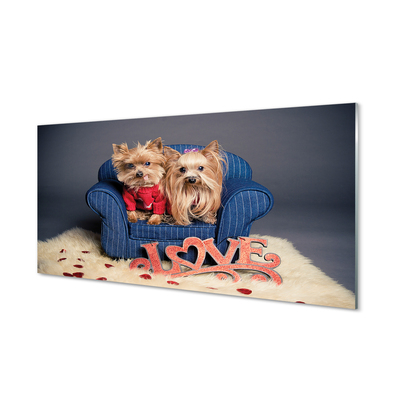 Tableaux sur verre Yorkie