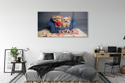 Tableaux sur verre Yorkie