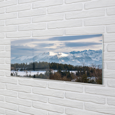 Tableaux sur verre Montagne hiver