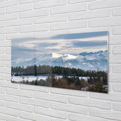 Tableaux sur verre Montagne hiver