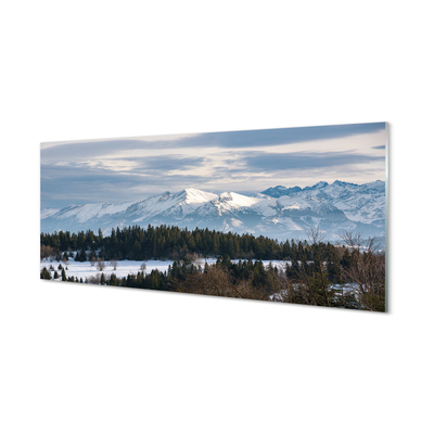 Tableaux sur verre Montagne hiver