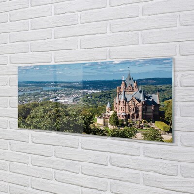Tableaux sur verre Allemagne panorama du château de la ville
