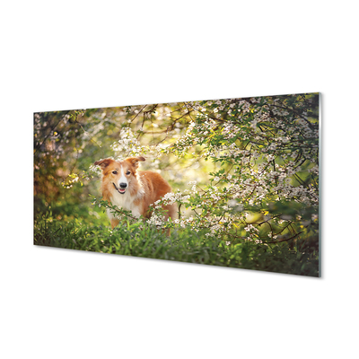Tableaux sur verre Fleurs forestières chien