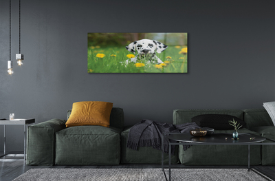 Tableaux sur verre Chien de prairie