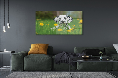 Tableaux sur verre Chien de prairie