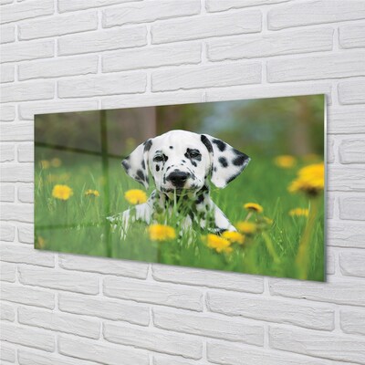 Tableaux sur verre Chien de prairie